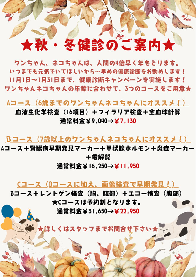 秋・冬健診のご案内