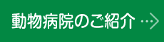 動物病院のご紹介